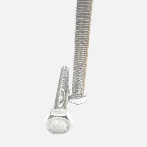 SS Hexagonal Bolt Image 4