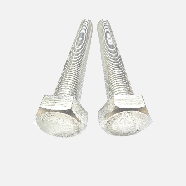 SS Hexagonal Bolt Image 5